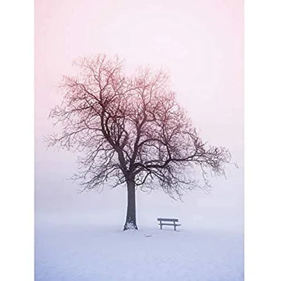 Image of Wee Blue Coo Winter Landscape Snow Tree Foggy Sunrise Unframed Wall Art Print Poster Home Decor Premium