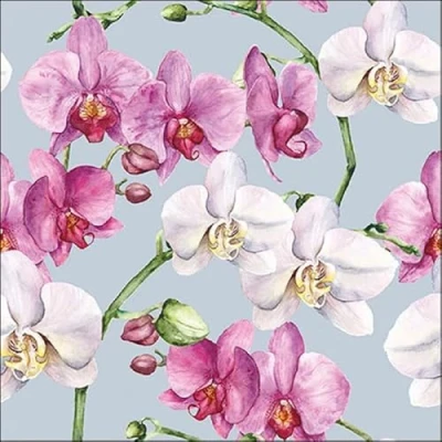Image of 20 Ambiente Paper Napkins Elegant Orchids Blue Table Decoration with Motif Also for Party or Decoupage 33x33 cm