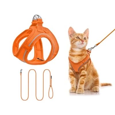 Image of Qianruida Dog Harness, Cat Harness with Lead for Cats, Adjustable Kitten Breathable Anti Escape Reflective Rabbit Cats and Puppies (Orange XXXS)