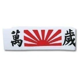 Image of Martial Arts Head Band Bonzai