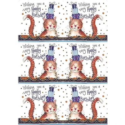 Image of ALEX CLARK Birthday CAT Bagged Gift WRAP &amp; Tags