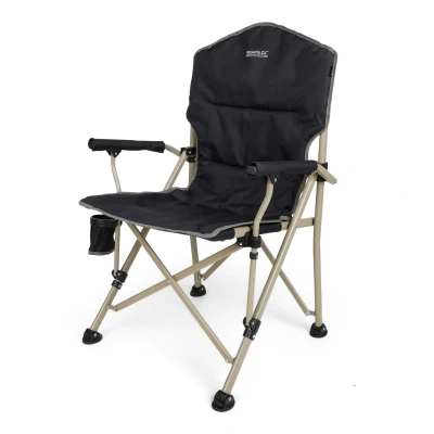 Image of Regatta Forza II Chair Ash, Size: One Size