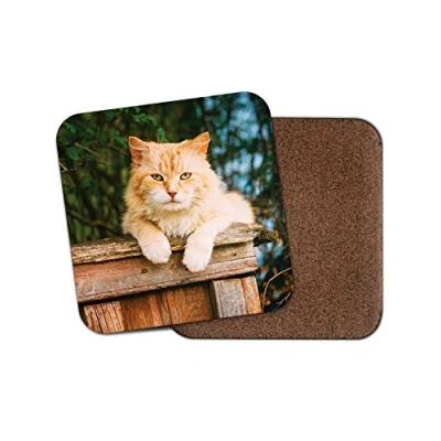 Image of 1 x Cute Ginger Cat Cork Backed Drinks Coaster Kitten Animal Mum Sister #8378
