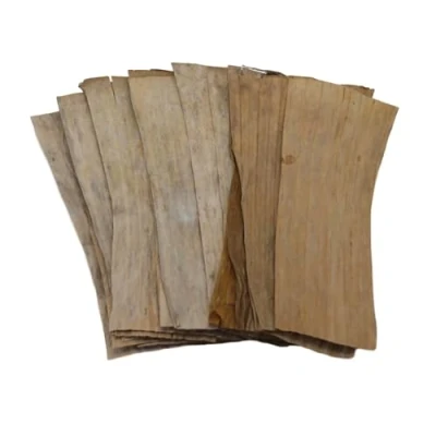 Image of Forest Aquatics Shrimp Banana Leaves, 7 8 Inches, Provides Shelter and Natural Aquarium Fish Food, Releases Healing Tannins Lowers Ph in Tank, Perfect for Breeding Hiding (3)
