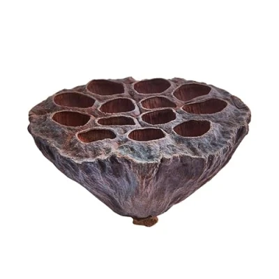 Image of Swell UK Dried Lotus Pods 2 Pack