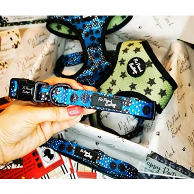Image of Pet Pooch Boutique Royal Rock Star Dog Collar, Medium, 0.3 kg
