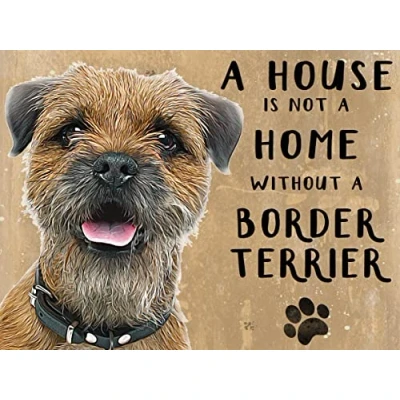 Image of Small (150 x 200mm) Metal Sign a House is Not Home Border Terrier