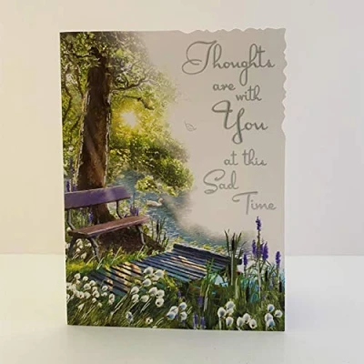 Image of Jonny Javelin Thoughts are with You at This Sad Time Card Bench River