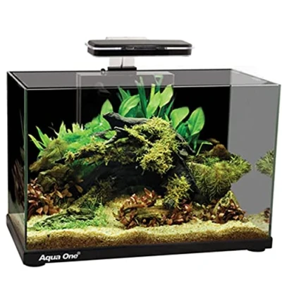 Image of Aqua One Focus 36 Glass Aquarium 36L 50x25x36cm Black