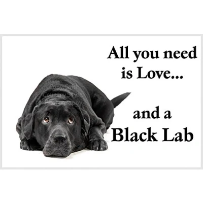 Image of Black Labrador Fridge Magnet Lab Gift All you need is Love