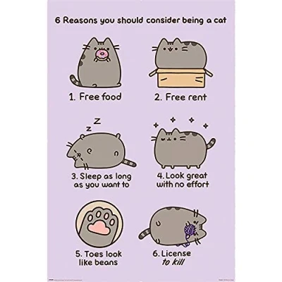 Image of Pyramid International Reasons to be a Cat Pusheen Maxi Poster, Plastic/Glass, Multi Colour, 61 x 91.5 1.3 cm, Living Room