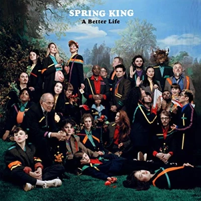 Image of Spring King A Better Life Clear vinyl 2018 UK LP 6754771