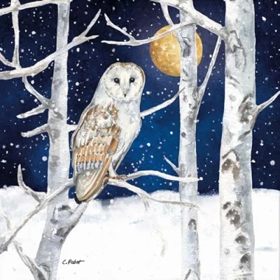 Image of 20 Napkins Winter Owl in Moonlight as Table Decoration Paper with Motif Also for Decoupage and 33 x cm