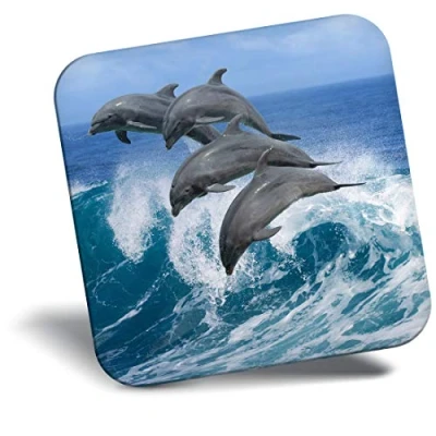 Image of Destination Vinyl ltd Fridge Magnet Dolphin Pod Whale Ocean Sea 2333