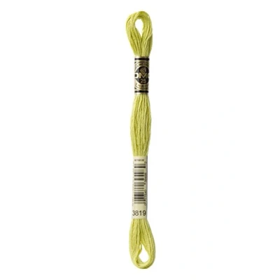 Image of DMC Embroidery Floss, Cotton, 3819 Green, 8 m