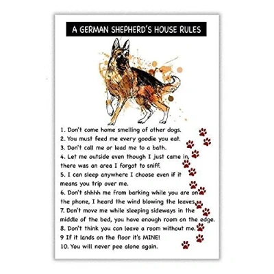 Image of TNND A German Shepherd&#039;S House Rules Dog Lovers Shepherd Metal Sign Art Tin Poster Gift 8x12 inch