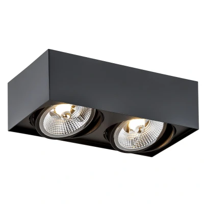 Image of Rodos Plus GU10 Twin Surface Mounted Downlight Black Structure