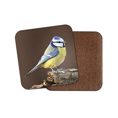 Image of 1 x Beautiful Blue Tit Coaster Bird Wildlife Pretty Fun Animals #15773
