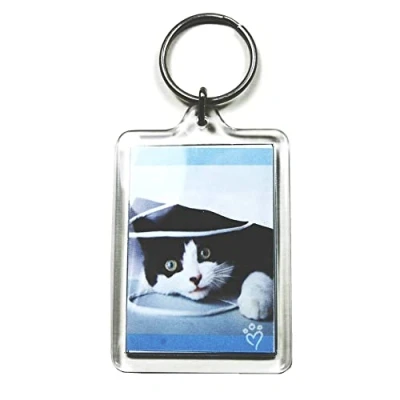 Image of PC3721 10 Large Blank Photo Keyrings 50 x 35 mm Insert 92033