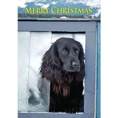 Image of Cocker Spaniel in Land Rover Christmas Cards. Bulk Pack of 8 Dog Xmas Cards with envelopes by Charles Sainsbury Plaice.