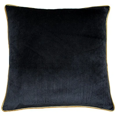 Image of Paoletti Meridian Piped Velvet Feather Filled Cushion Black One Size