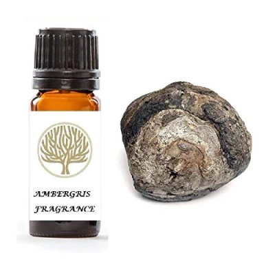 Image of EkoFace Candle, Oil Burner, Potpourri, Bath Fragrance Oils 10ml Multi Scents Listing (Ambergris)
