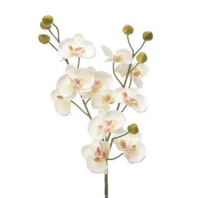 Image of CB Imports Artificial Baby Orchid Cream
