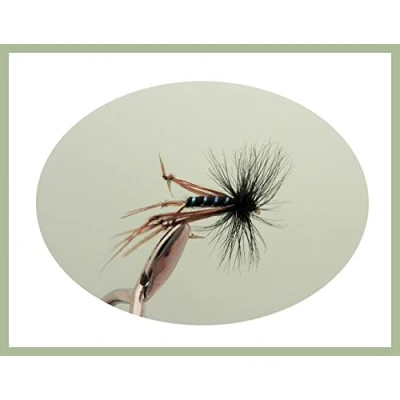 Image of 6 Pack of Black Hackled Hopper Trout Fishing Flies, Choice Sizes (12/14)