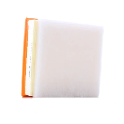 Image of FA3413 Air Filter PURFLUX A1538 65mm 206mm 228mm Insert BMW: 3 Saloon, 4 Coupe, Gran Coupe