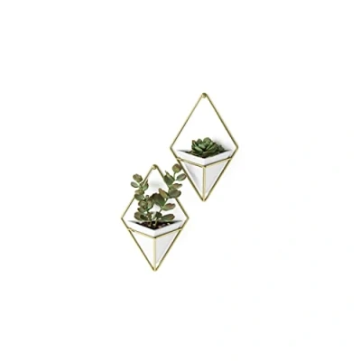 Image of Umbra Trigg Hanging Planter Vase &amp; Geometric Wall Decor Concrete Container Great For Succulent Plants, Air Plant, Mini Cactus, Faux Plants and More, Set of 2, Small, White/Brass
