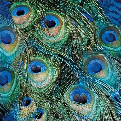 Image of Ambiente 3 Ply Paper Napkins Peacock Feathers