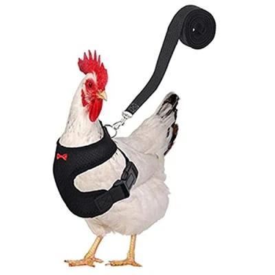 Image of JINGLING Chicken Harness with , and Lead Set, Adjustable Breathable for Chickens, Ducks, Puppies