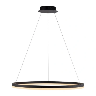 Image of Titus Pendant Ceiling Light Anthracite 1x 52W LED 3000K Dimmable