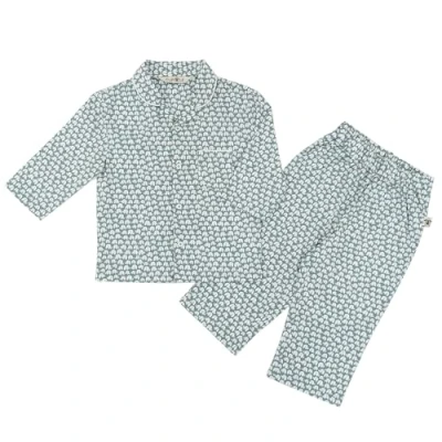 Image of TURTLE Revere Boys Pyjamas Set 100% Cotton Woven PJ Sets Sleepwear for Kids (Blue Baby Elephant, 2 3 Years)