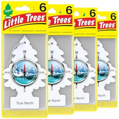 Image of LITTLE TREES Air Fresheners Car Freshener. Hanging Tree Provides Long Lasting Scent for Auto or Home. True North, 24