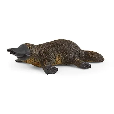 Image of SCHLEICH 14840 Platypus Wild Life Toy Figurine for children aged 3 8 Years, Multi colou