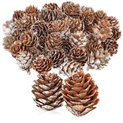 Image of com four® 50x decorative larch cones scattered decorations for autumn and winter cone small pine (50x white)
