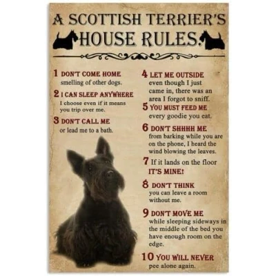 Image of Funny Metal Signs A scottish terrier&#039;s house rules Retro Tin Vintage For Sign Home Wall Art, 12x8 Inches Bathroom Decor