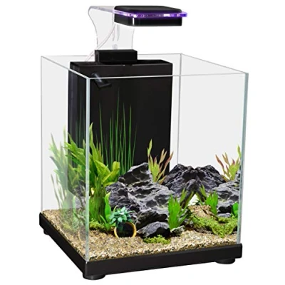 Image of Aqua One Betta Sanctuary Glass Aquarium 10L, Blue,White,Black