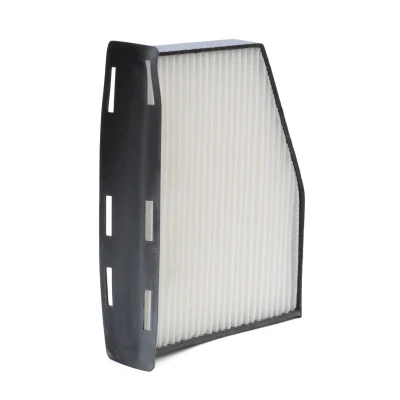 Image of 1K1818653 Pollen Filter VALEO 698800 Particulate 279mm 216mm 57mm CLIMFILTER COMFORT VOLKSWAGEN: GOLF 5, Tiguan I, 6