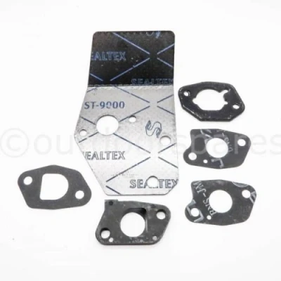 Image of Mountfield RM45 RM55 ST55 Lawnmower Carburettor Gasket Set Part No. 118550743/0