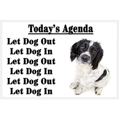 Image of Black White Springer Sprocker Spaniel Puppy Funny Fridge Magnet Gift