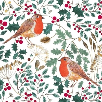 Image of Museums &amp; Galleries Christmas Cards Pack of 5 Winter Dreaming Robins and Berries Eco Friendly Recyclable