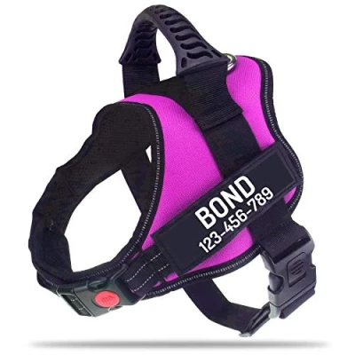 Image of PawPawify Personalised No Pull Dog Harness with Custom Name and Phone Number, Heavy Duty Pet Vest to Prevent Tugging, Pulling, or Choking, Training Walking (Blue, XL Chest 32 44in)