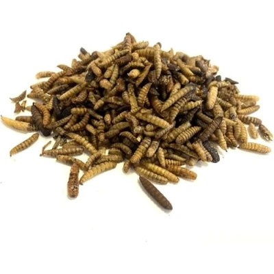 Image of *New* Dried Calciworms 5kg Premium Wild Bird &amp; Hedgehog Food