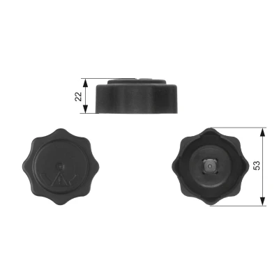 Image of 19102P5TG00 Cap, radiator GATES RC229 MINI: Hatchback, Convertible, ROVER: 200 400 Coupe