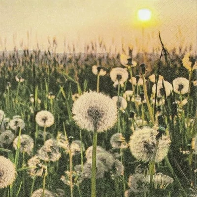 Image of 20 napkins meadow full of dandelion, flowers, flower meadow, crafting, neutral, timeless, table decoration, decoupage, napkin technology, 33 x cm