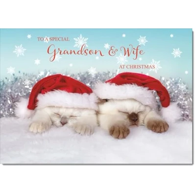 Image of doodlecards Grandson &amp; Wife Christmas Card Medium Size with Plain Envelope