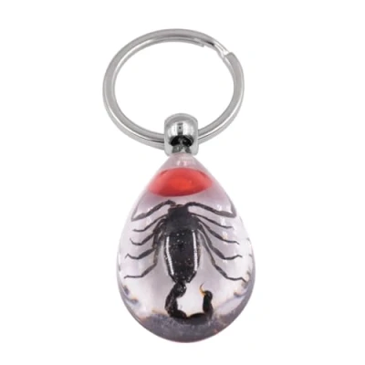 Image of JSGHGDF Creativity Insect Keychain Car Keyring Keyholder Resin Scorpion Amber Pendant Auto Handbag Wallet