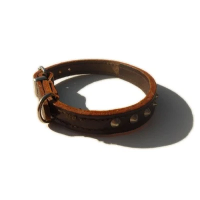 Image of Studded Bridle Leather Dog Collar (Havana Brown, 12&quot; x 3/8&quot;)